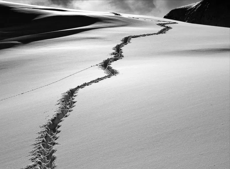Snowy Mountain Path