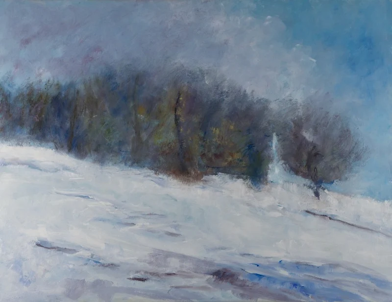 Snowy Winter Forest