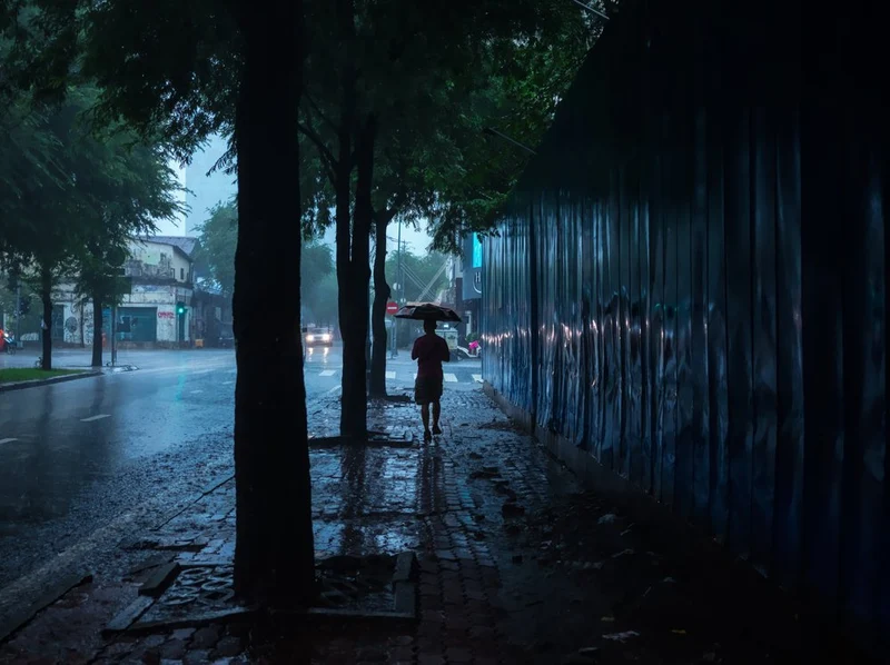 Rainy City Walk
