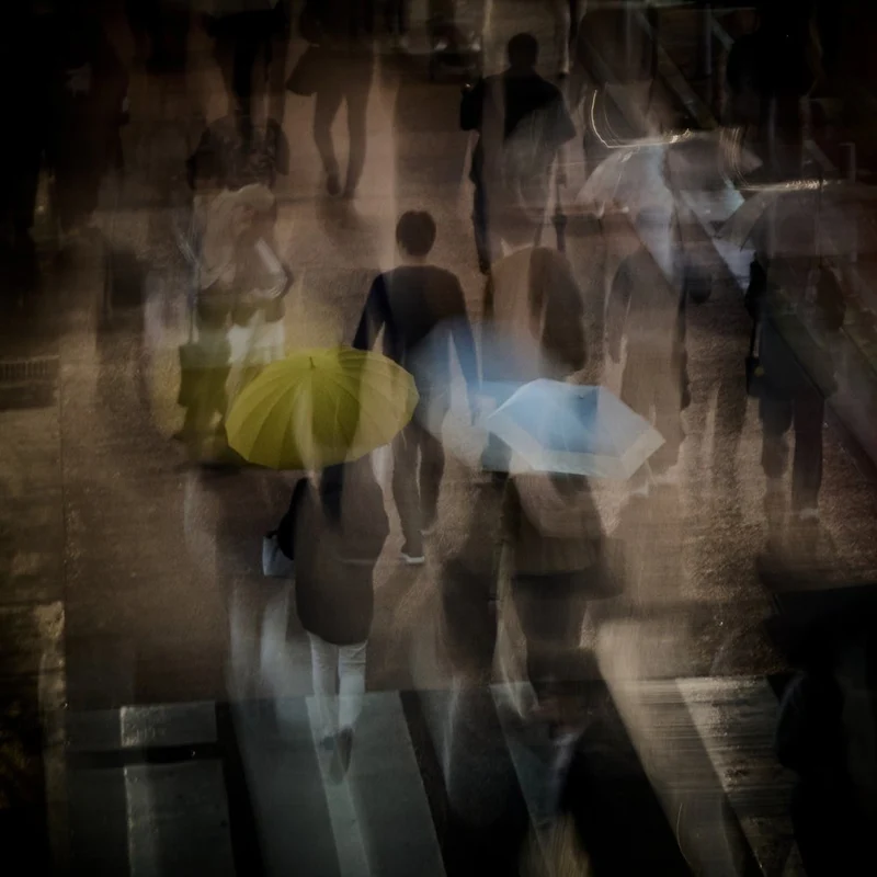 Rainy City Movement