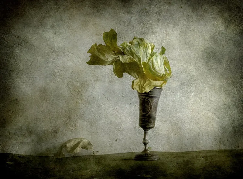 Withered Lettuce Goblet