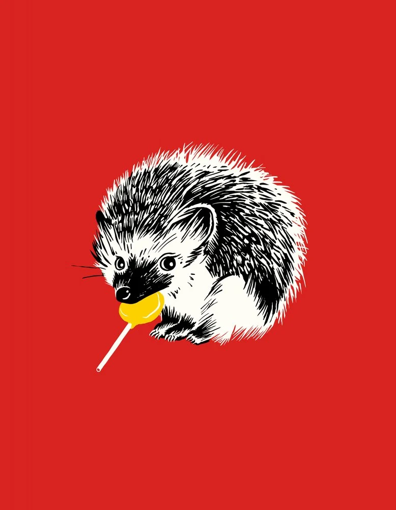 Cute Hedgehog Lollipop