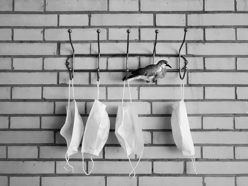 Perching Bird Masks