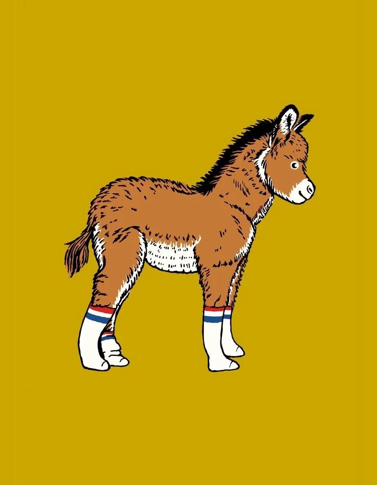 Cute Donkey in Striped Socks