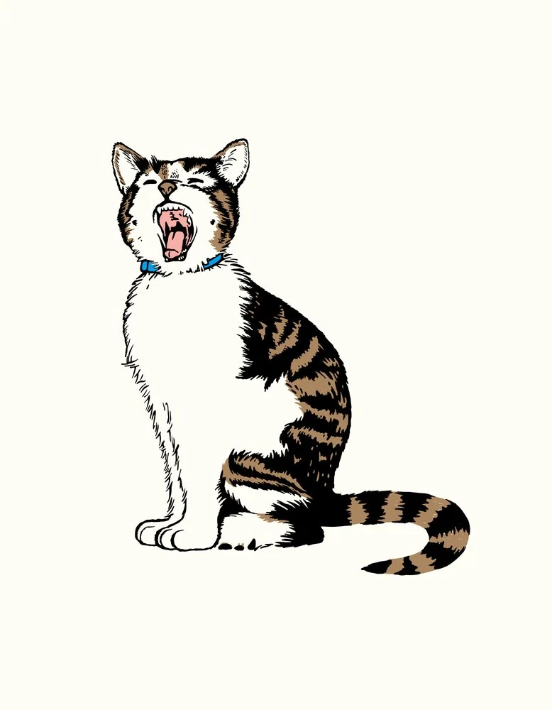 Sleepy Tabby Cat Yawn