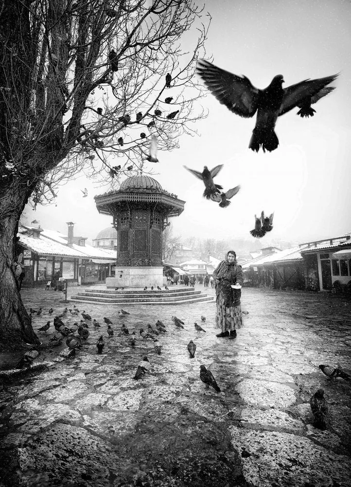 Woman Feeding Sebilj Pigeons