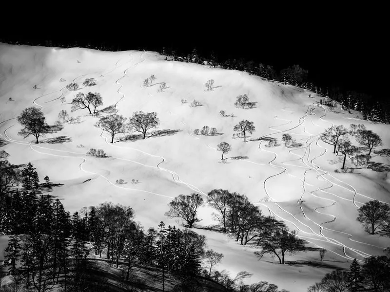 Snowy Mountain Ski Tracks