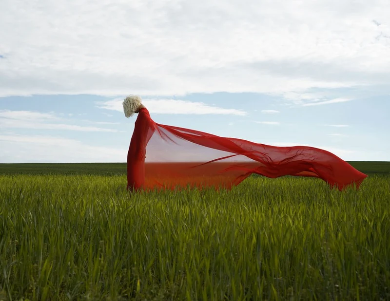Flowing Red In Green Field
