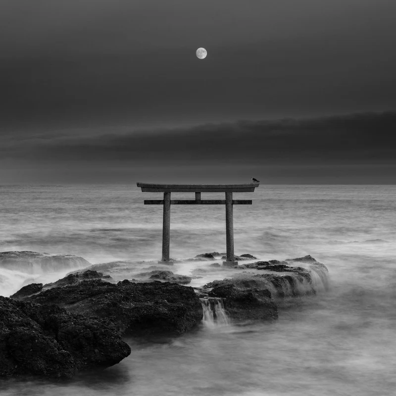 Moonlit Torii Gate