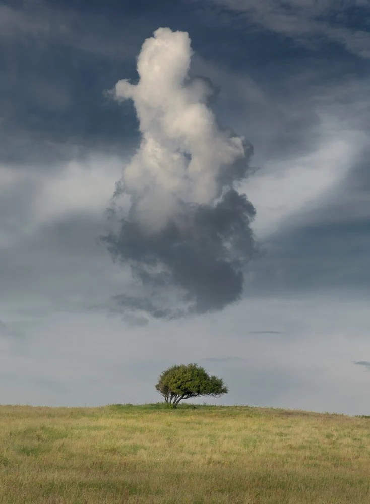 Lone Tree Cloudscape
