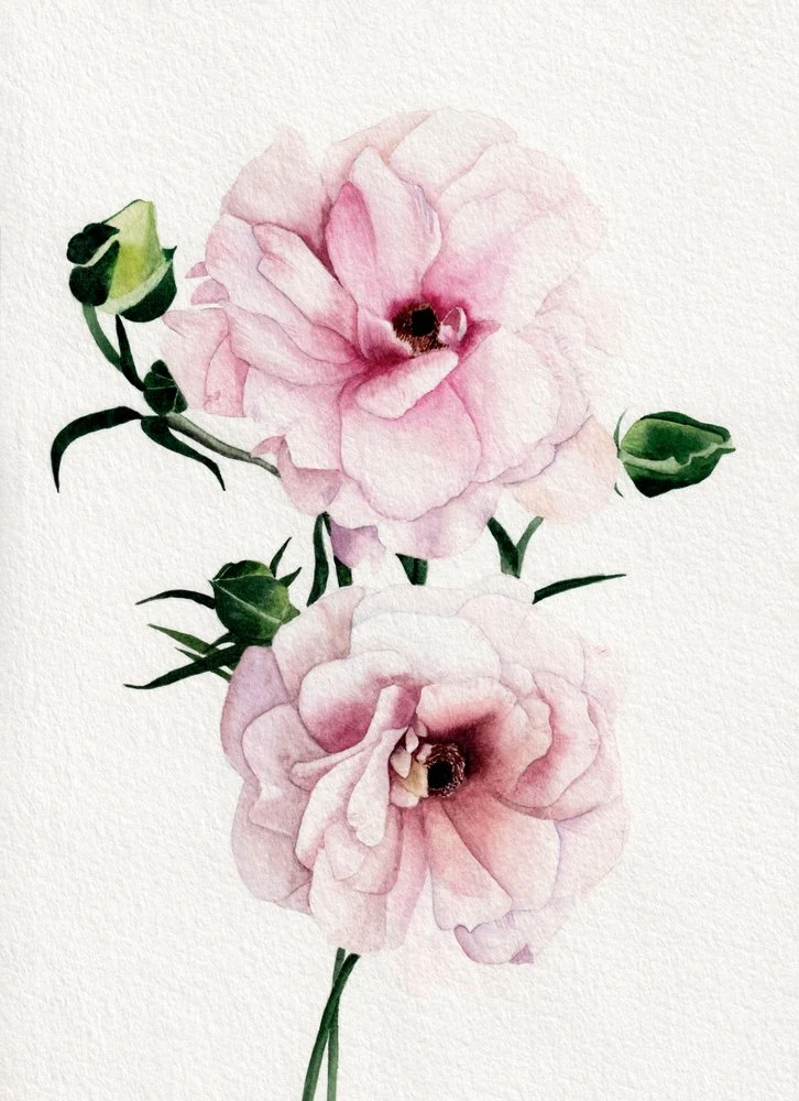 Pink Watercolor Blooms