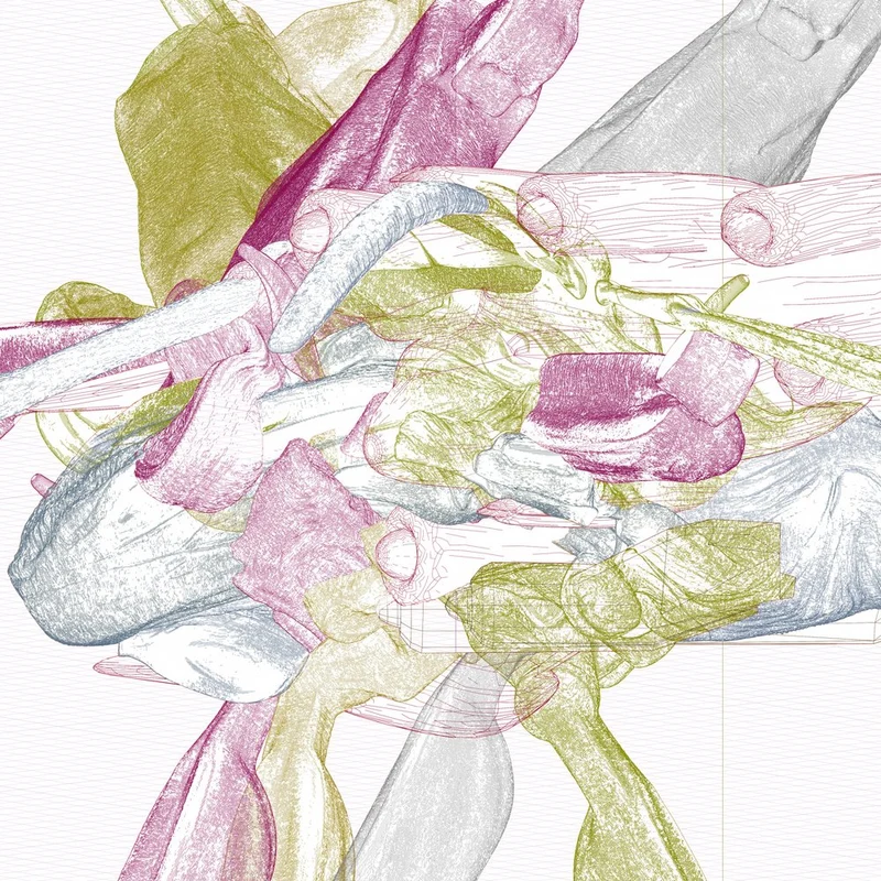 Dynamic Organic Shapes