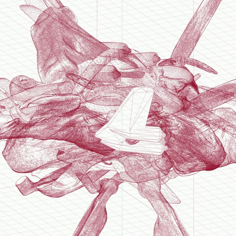 Red Wireframe Aircraft Design