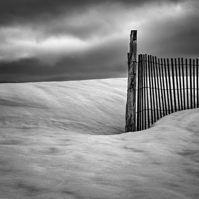 Stark Winter Fence