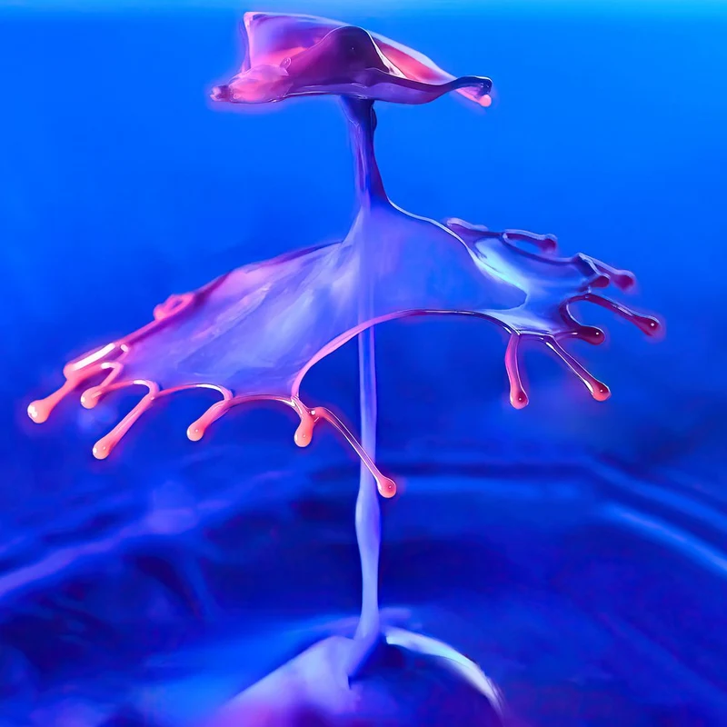 Dynamic Fluid Sculpture
