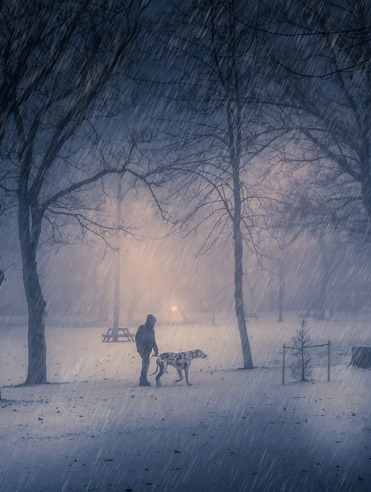 Misty Winter Dog Walk