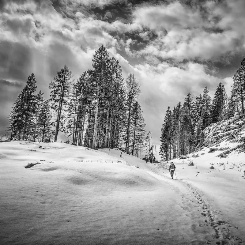 Solitary Winter Hike
