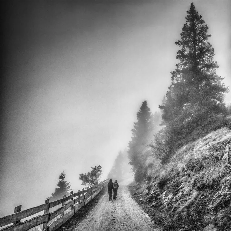 Couple on Misty Path
