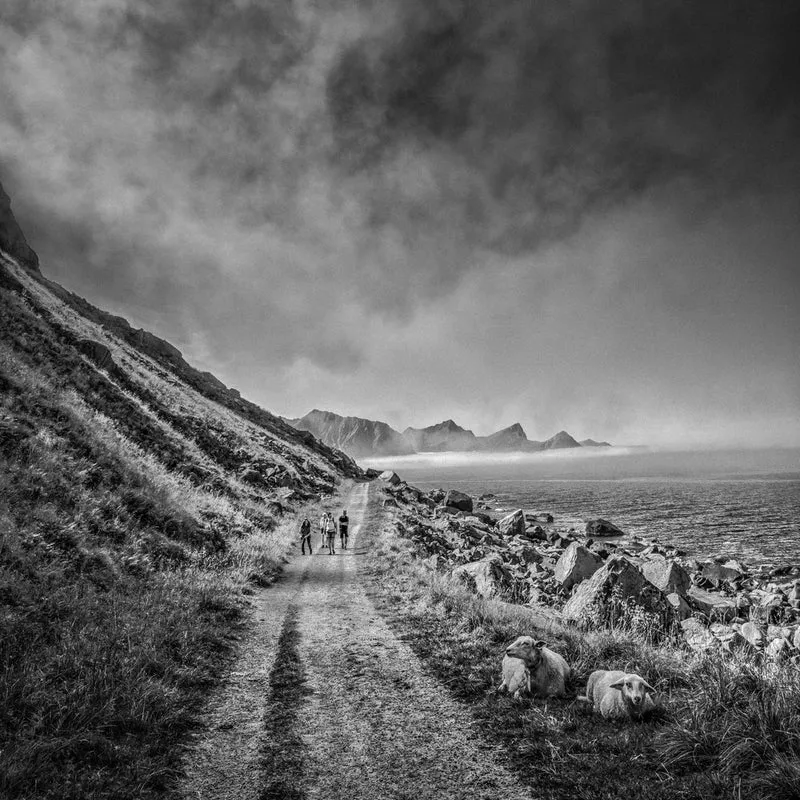 Dramatic Coastal Path