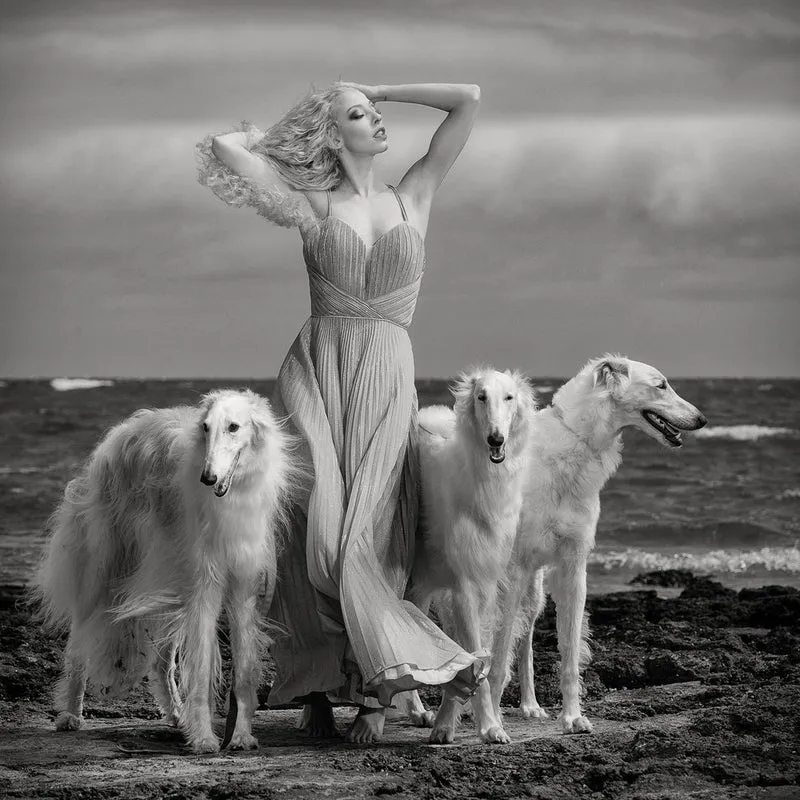 Elegant Woman Borzoi Hounds