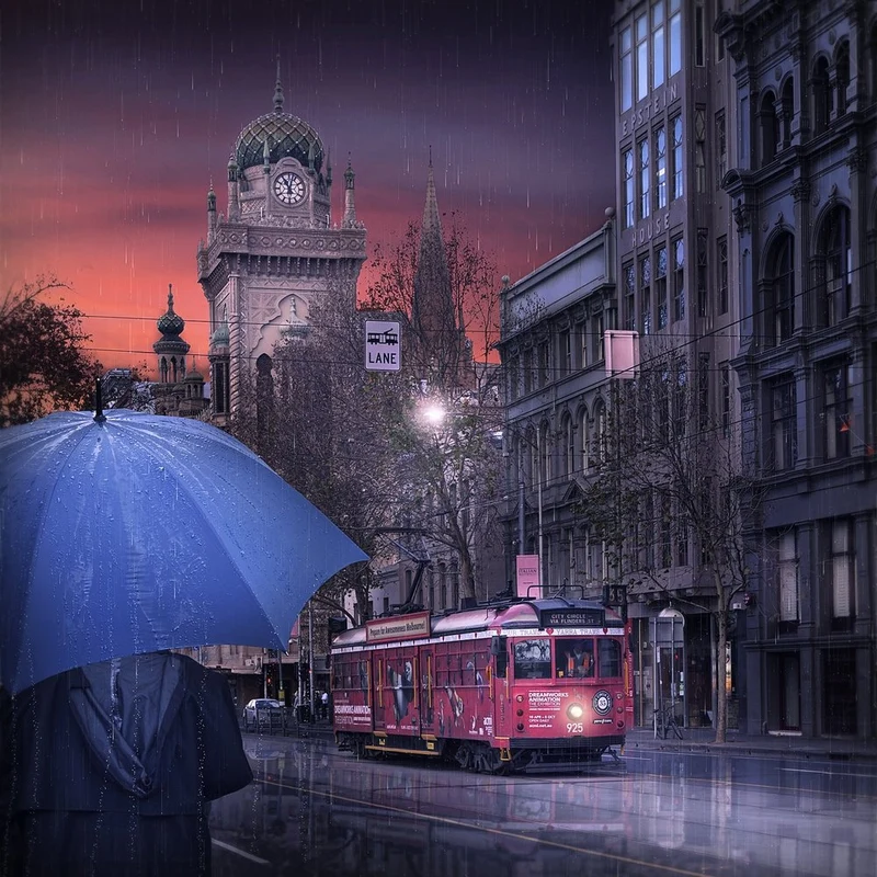 Rainy City Tram