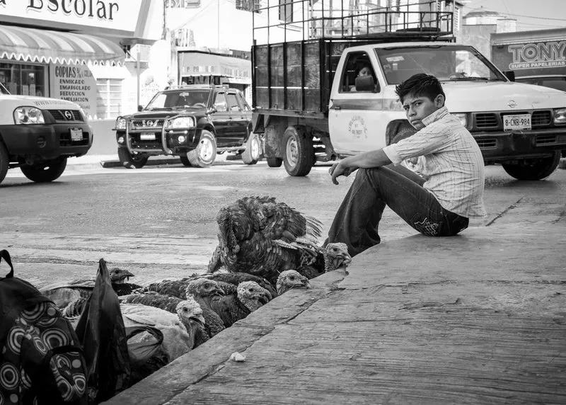 Street Boy With Turkeys