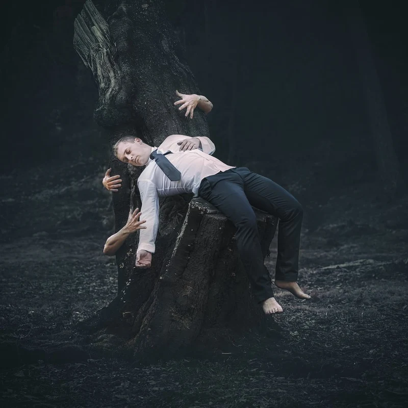 Surreal Forest Slumber