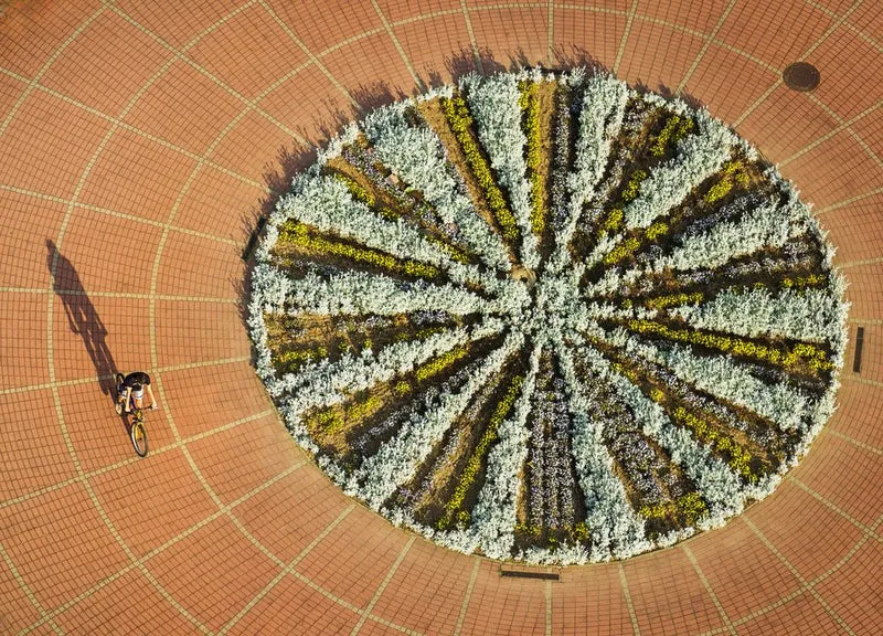 Cyclist and Circular Garden