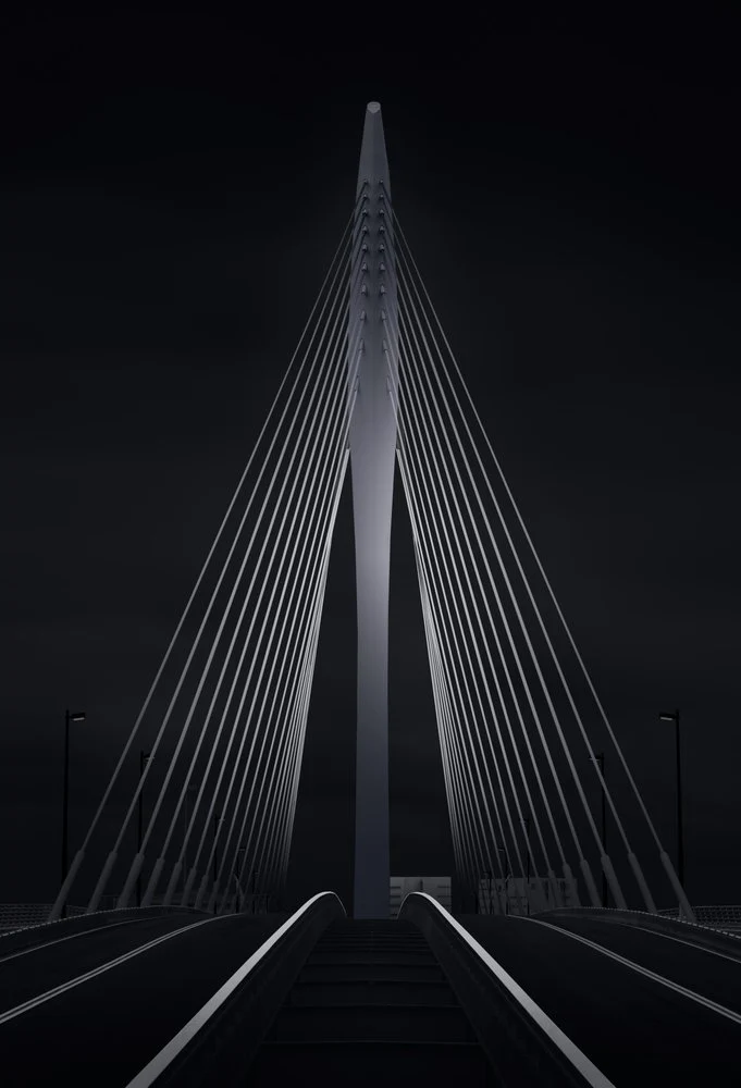 Sleek Modern Bridge