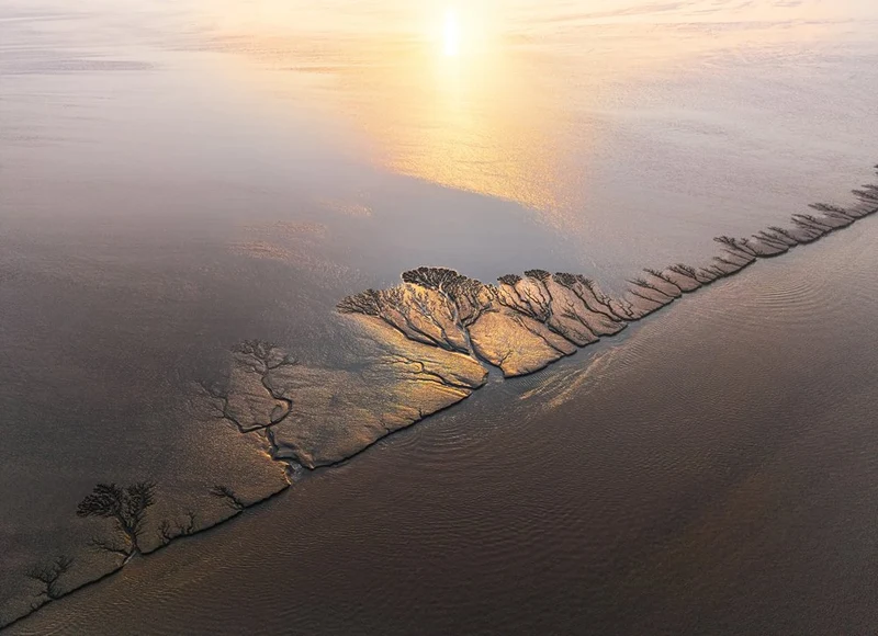 Golden Mudflats Sunrise