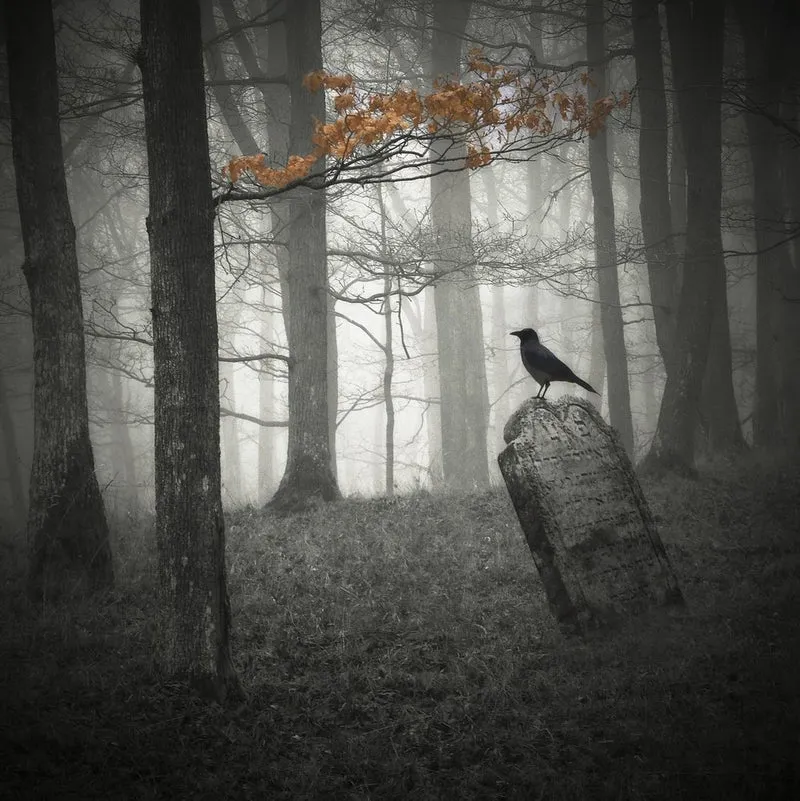 Crow on a Tombstone