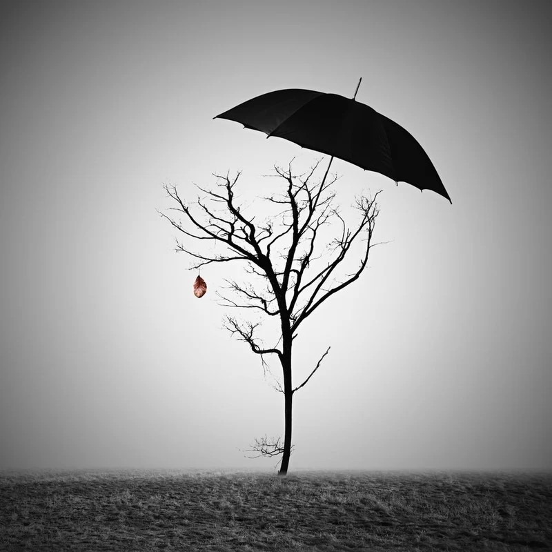 Bare Tree Umbrella