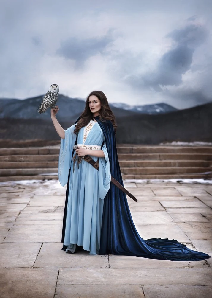 Fantasy Queen and Owl