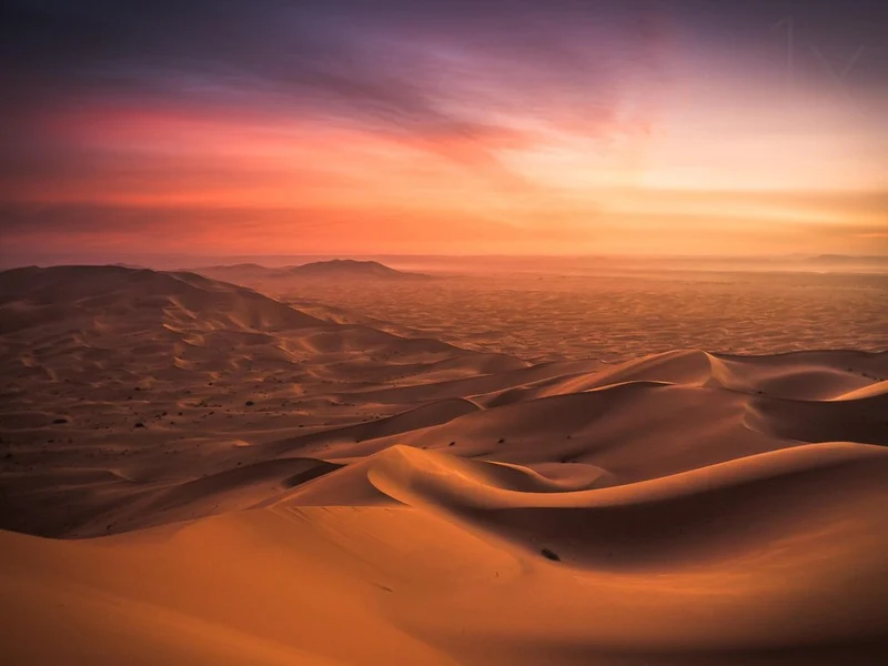 Golden Desert Sunset