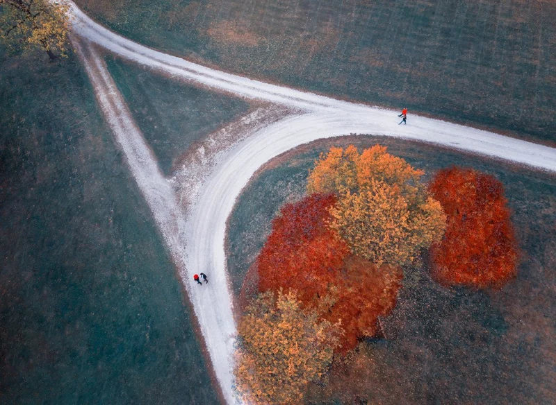 Autumn Path Fork