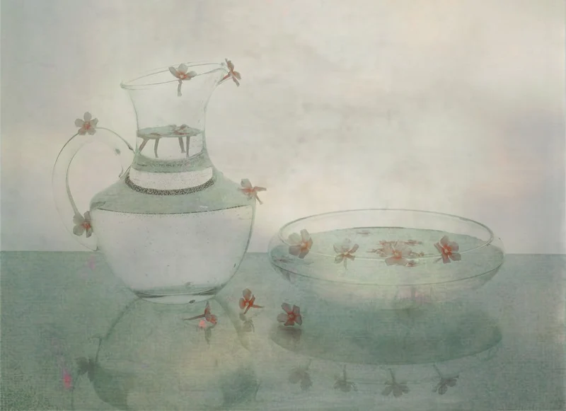Floating Petals Glass Still Life