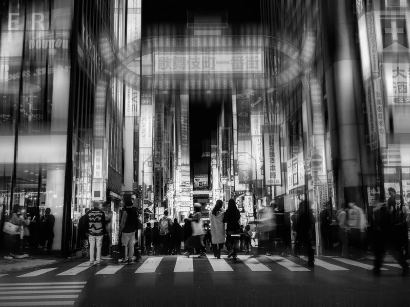 Kabukicho Night Motion