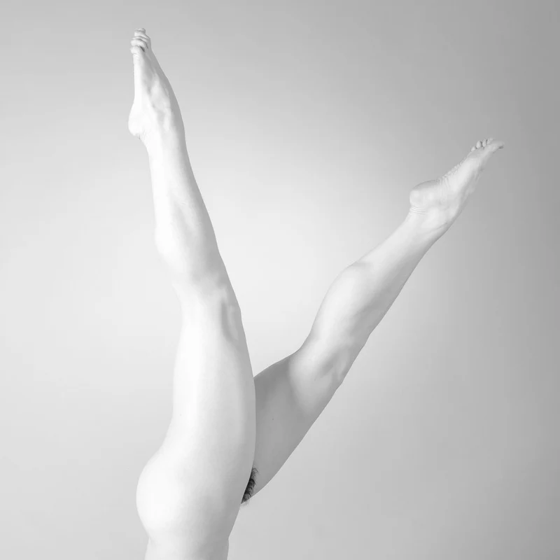 Elegant Dance Form