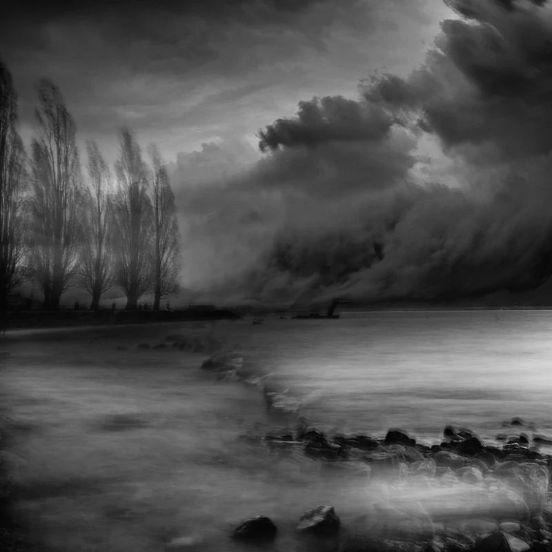 Dark Trees Stormy Lake