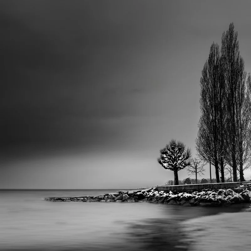 Winter Lake Serenity