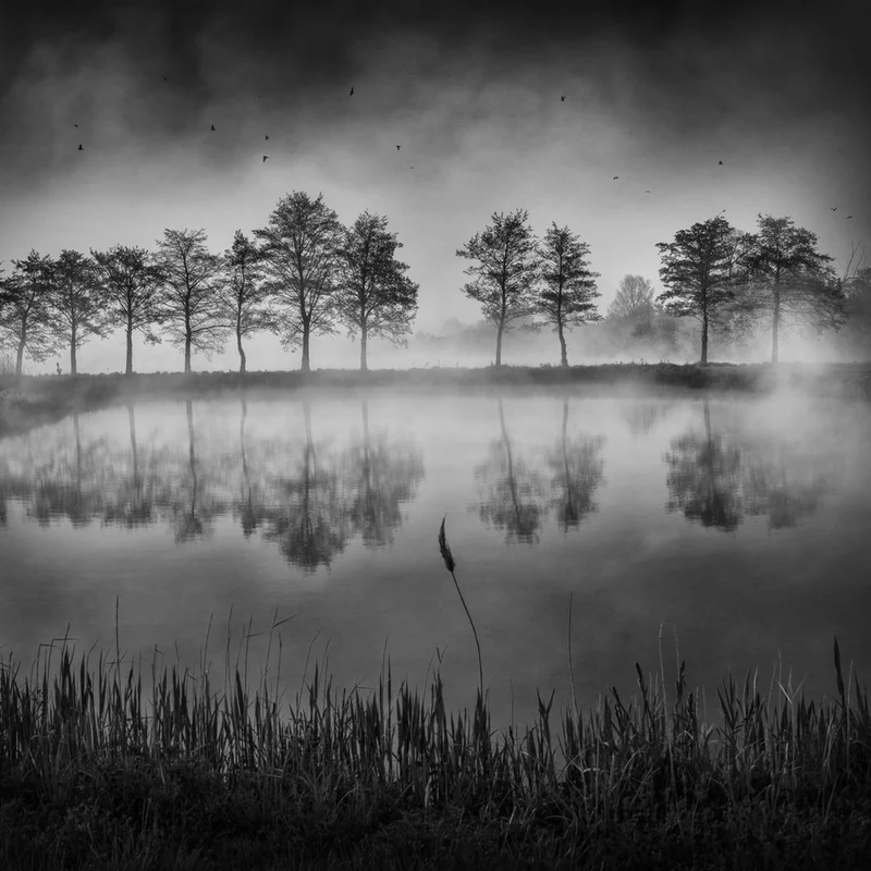 Misty Lake Reflections