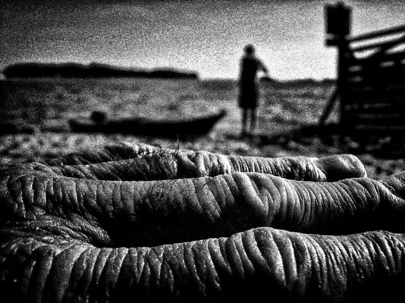 Before the wave.