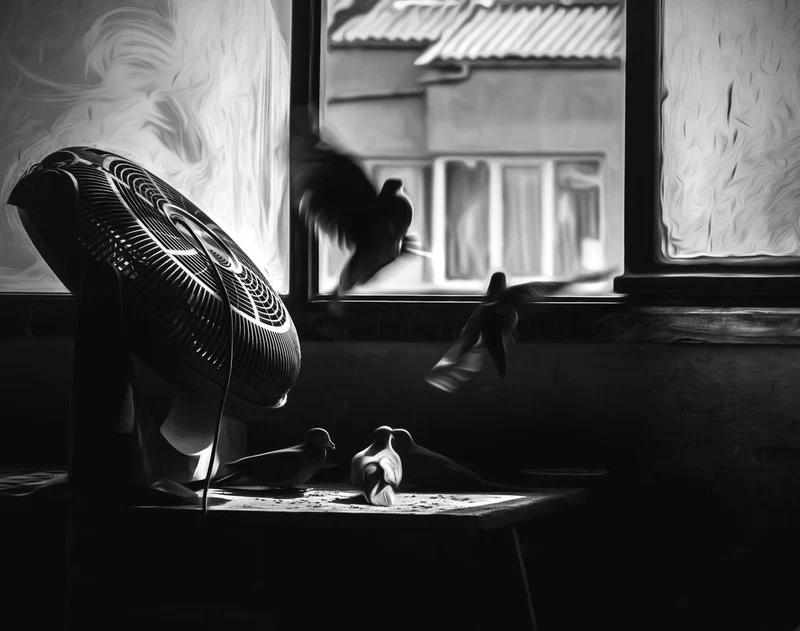Flying Pigeons By Window