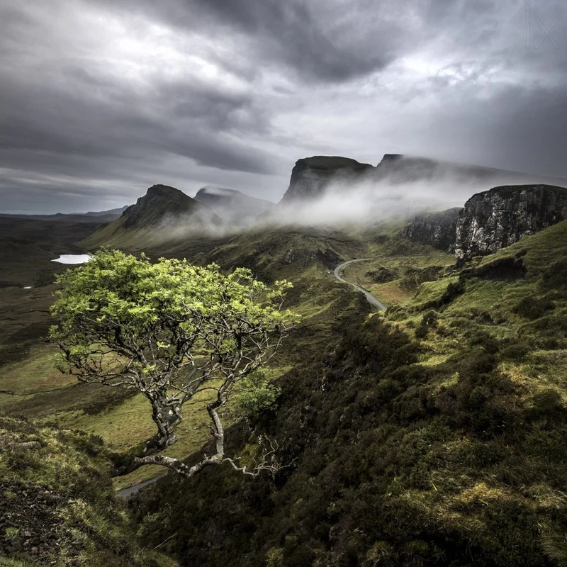 Lone Tree Misty Highlands