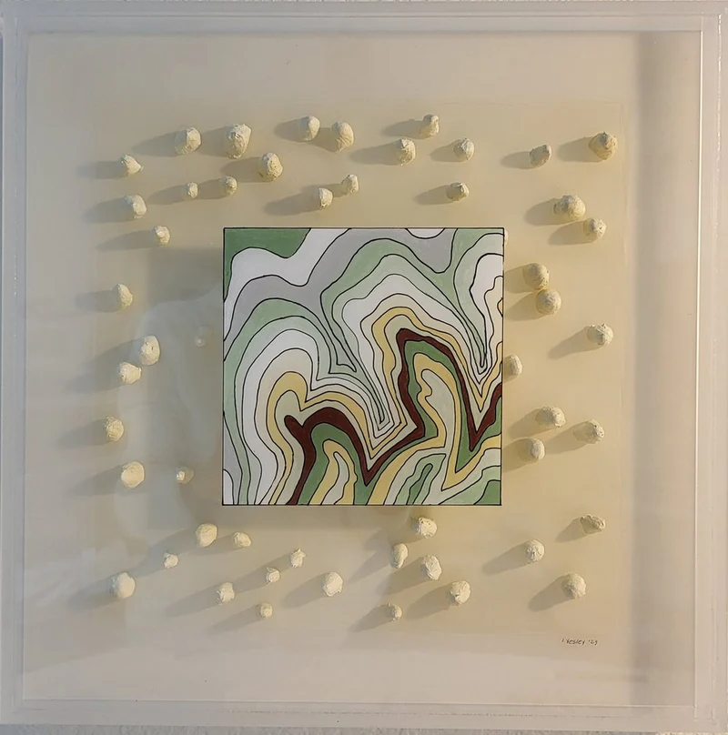Earthy Contours Stones
