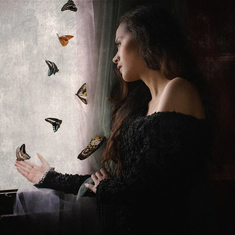 Advice from a butterfly #2