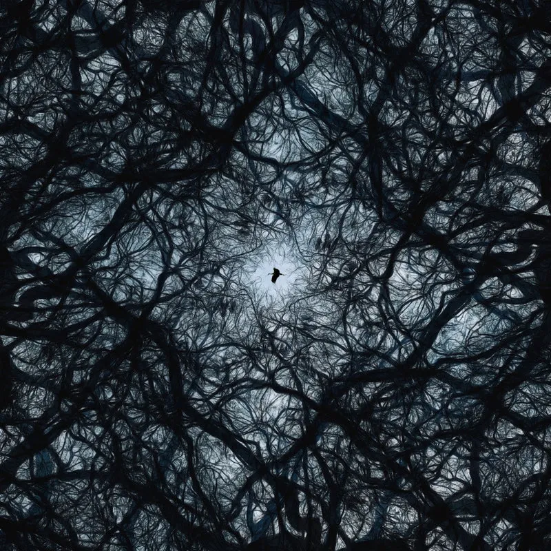 Kaleidoscope