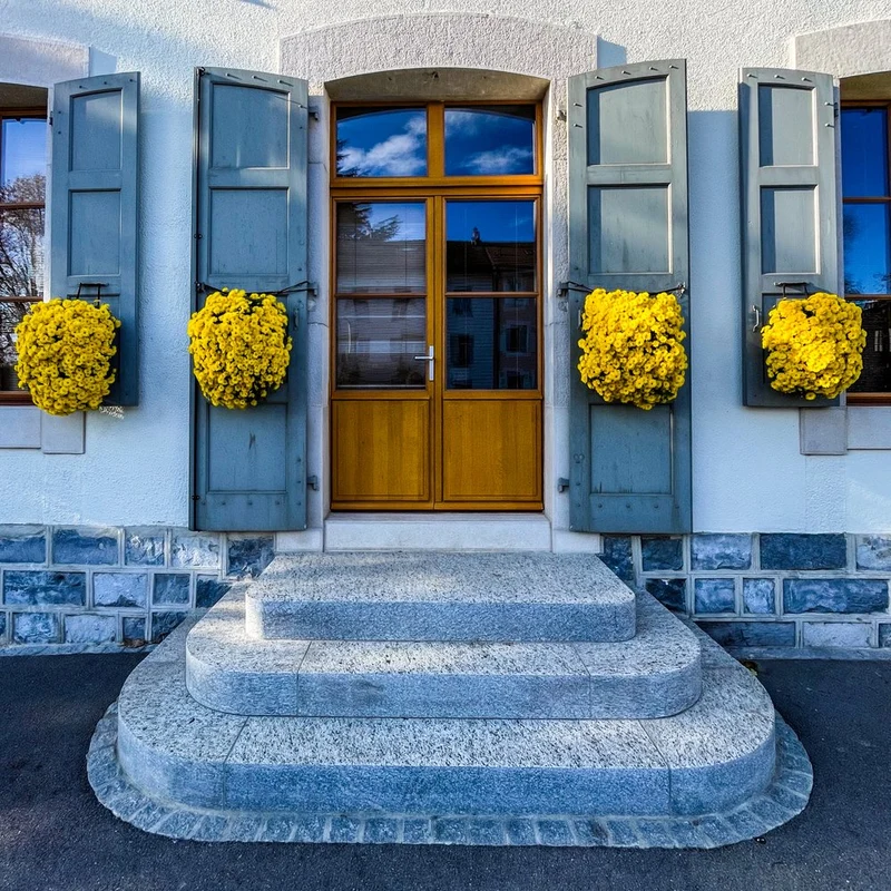 Yellow Flowers Blue Shutters