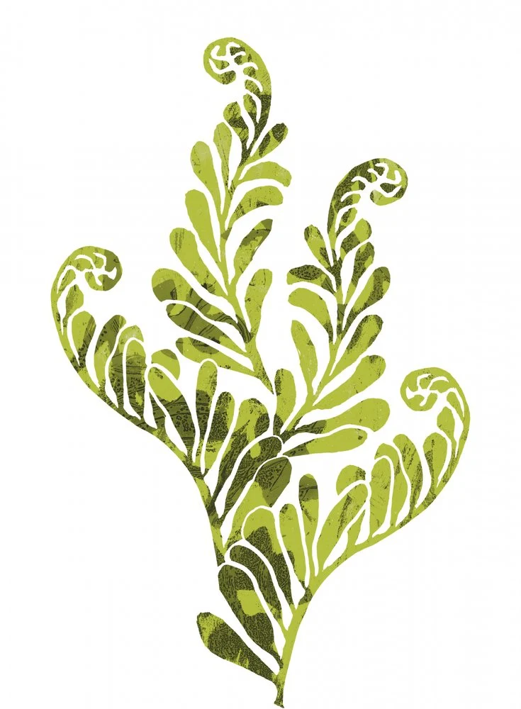 Organic Green Fern