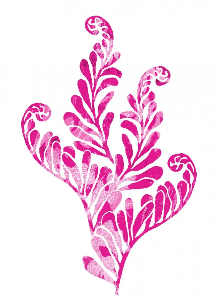Vibrant Pink Botanical